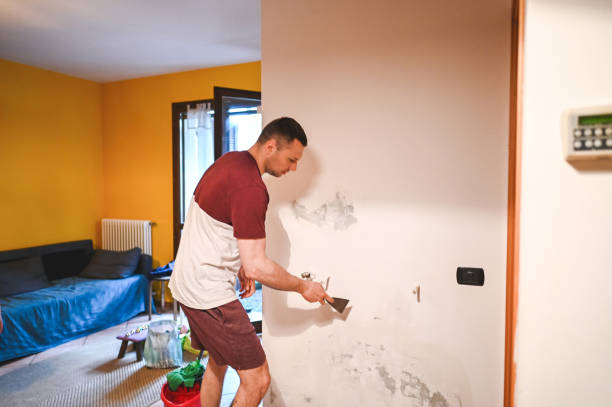 Best Mold Removal and Inspection  in Port Republic, NJ